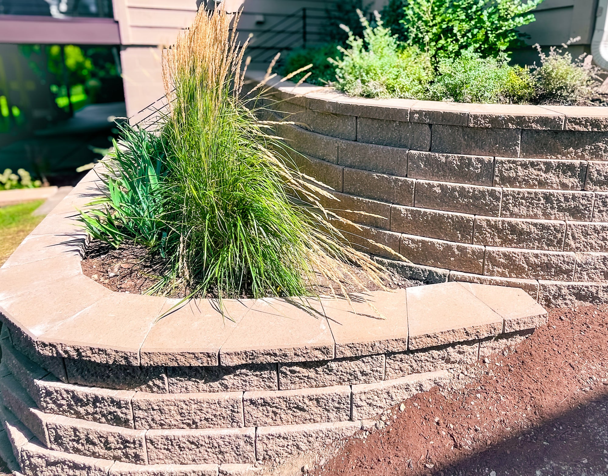 Tiered garden wall with ornamental grasses and layered planting by Elzo Landscape