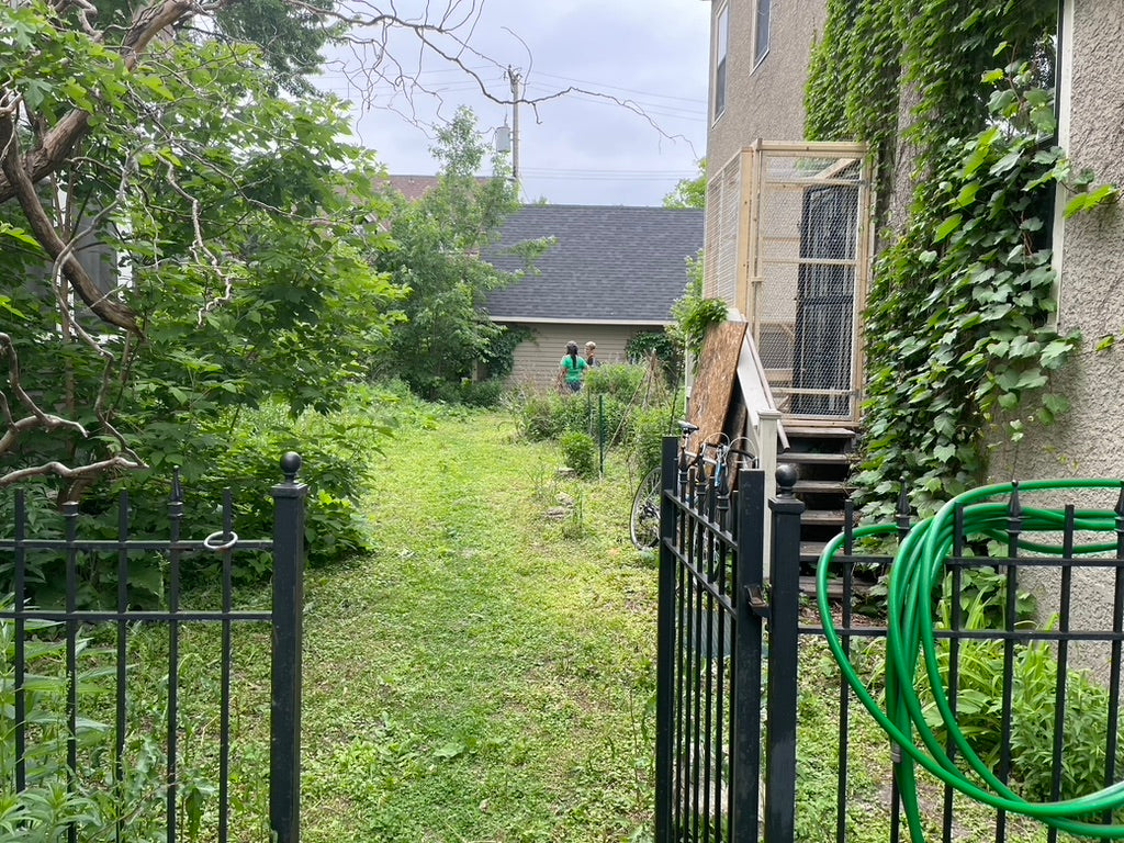 Before landscape renovation in Minneapolis showing patchy lawn, exposed foundation, and underutilized backyard space.