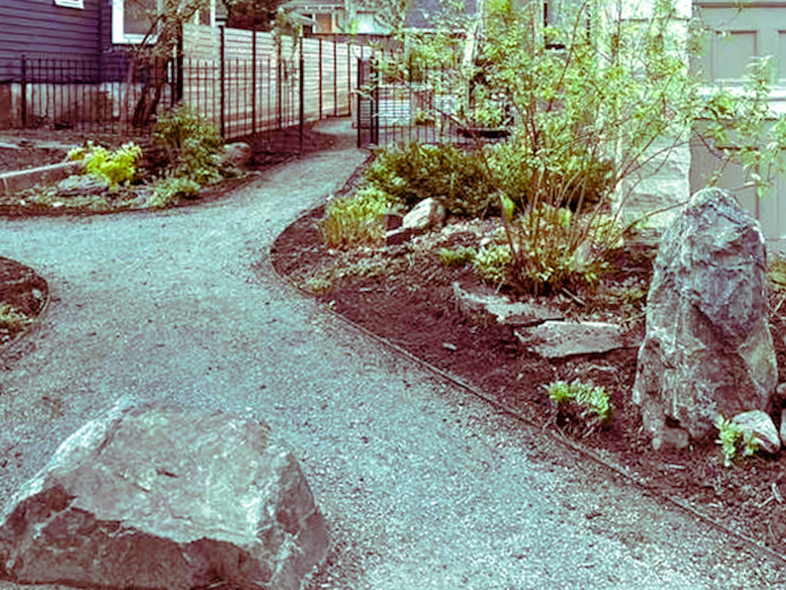 Curved garden walkway and fresh planting beds in Minneapolis
